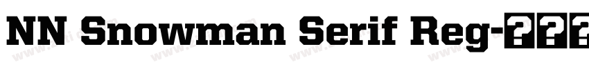 NN Snowman Serif Reg字体转换